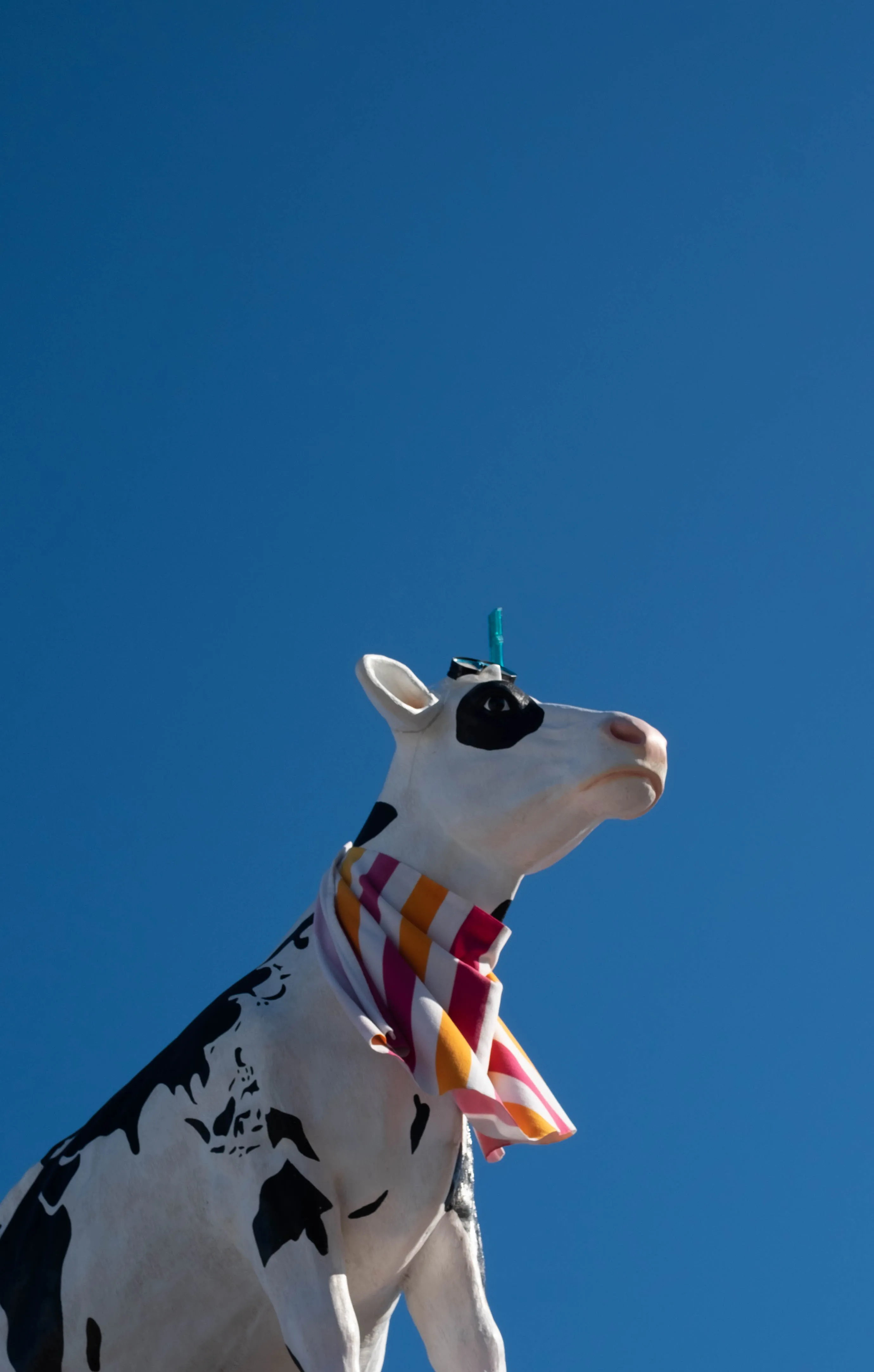 Shop cow mascot